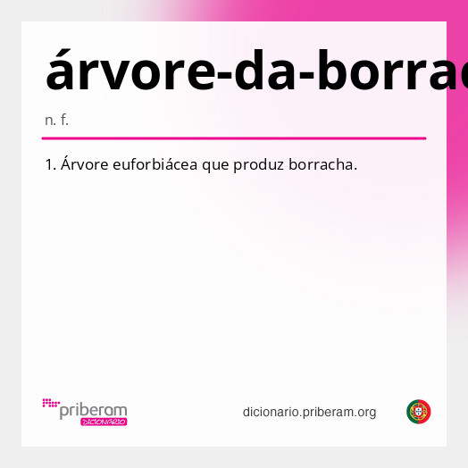 árvore-da-borracha