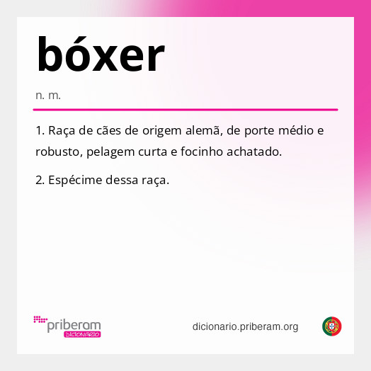 bóxer
