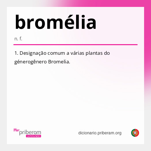 bromélia