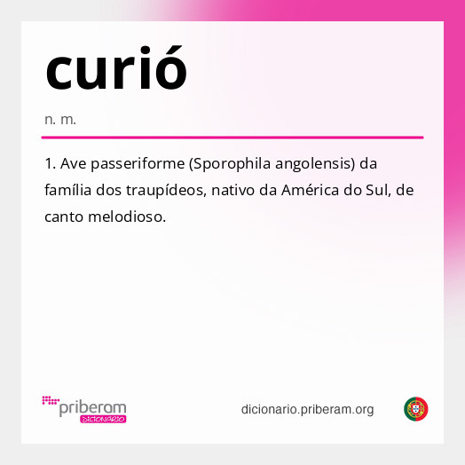
   Significado de curió