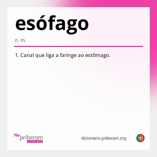 Significado de esófago