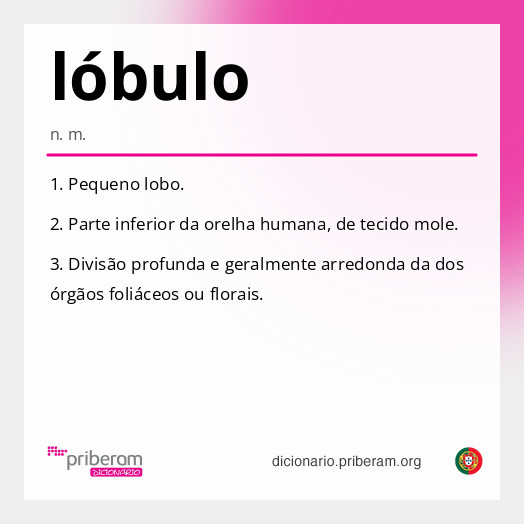 lóbulo