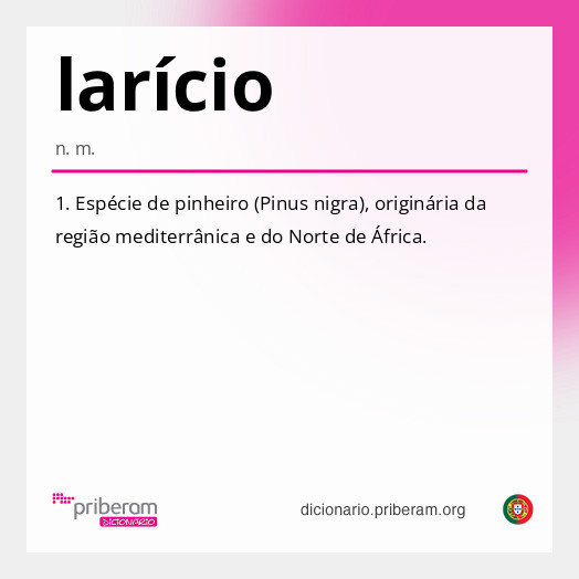 Significado de larício