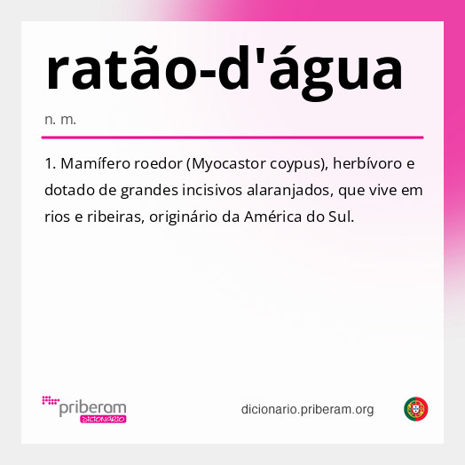 Significado de ratão-d'água